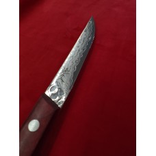 Tsunehisa AUS10 Damascus нож Стек