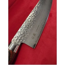 Senzo Universal VG-10 Damascus нож Гиото-Gyuto 210mm FT-03